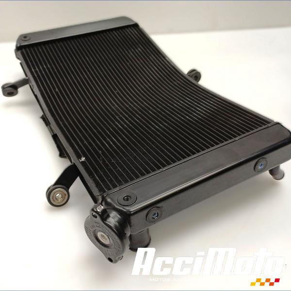 Pièce Moto Radiateur de refroidissement YAMAHA FZ8 N