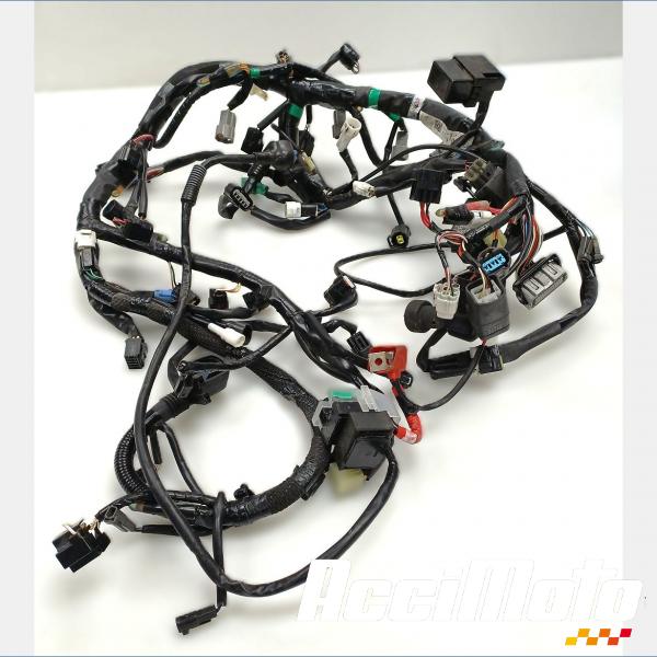 Pièce Moto Faisceau électrique (principal) SUZUKI GSXS 750