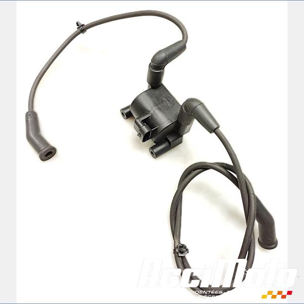 Pièce Moto Bobine d'allumage HARLEY DAVIDSON ELECTRA GLIDE ULTRA LIMITED FLHTK