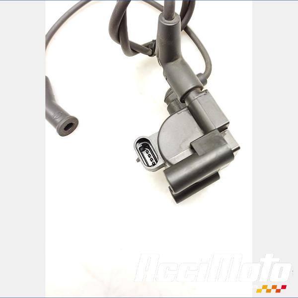 Pièce Moto Bobine d'allumage HARLEY DAVIDSON ELECTRA GLIDE ULTRA LIMITED FLHTK