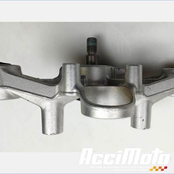 Pièce Moto Té de fourche supérieur BMW R1250 GS ADV