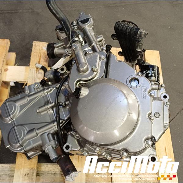 Pièce Moto Moteur SUZUKI SV 650N