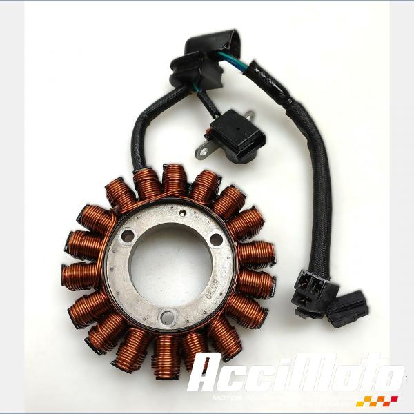 Pièce Moto Stator d'alternateur SUZUKI BANDIT GSF650N