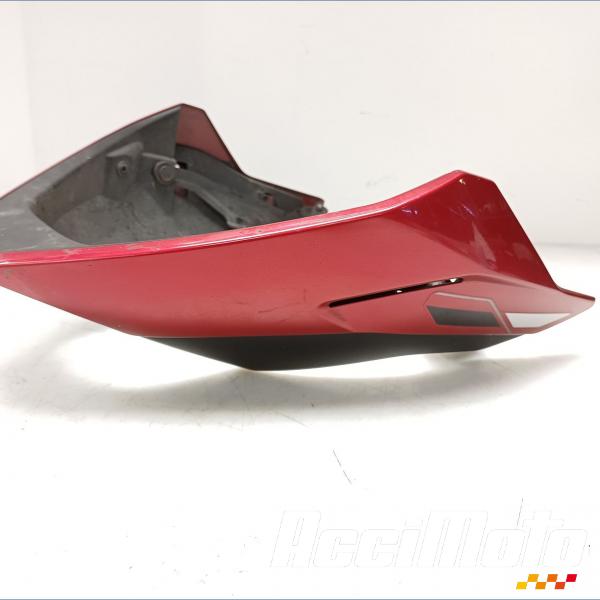 Pièce Moto Sabot TRIUMPH STREET TRIPLE 765 RS