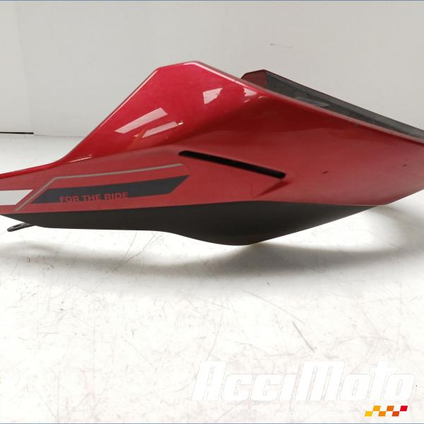 Pièce Moto Sabot TRIUMPH STREET TRIPLE 765 RS