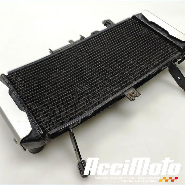 Pièce Moto Radiateur de refroidissement SUZUKI SV 650N