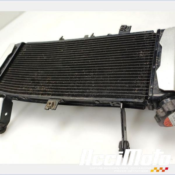 Pièce Moto Radiateur de refroidissement SUZUKI SV 650N