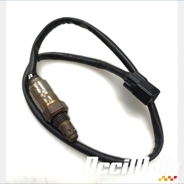 Pièce Moto Sonde lambda DUCATI PANIGALE 1100 V4S