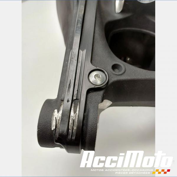 Pièce Moto MONO BRAS OSCILLANT DUCATI PANIGALE 1100 V4S