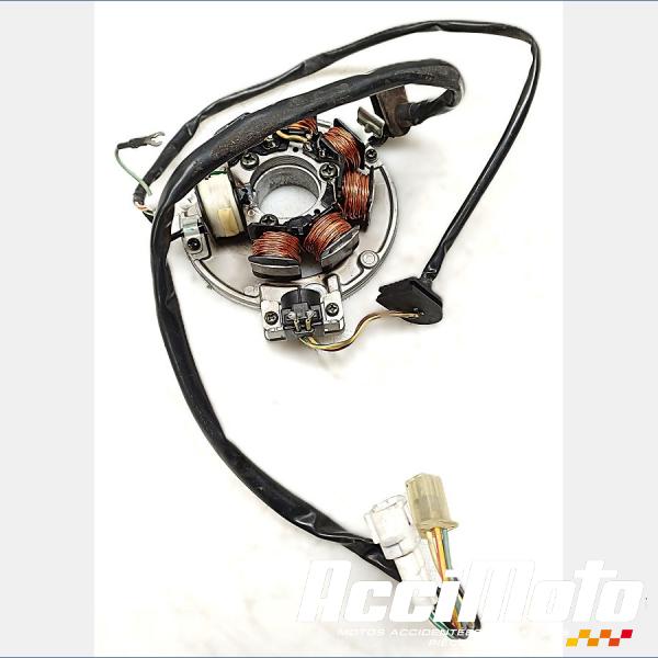 Pièce Moto Stator d'alternateur YAMAHA DTR 125