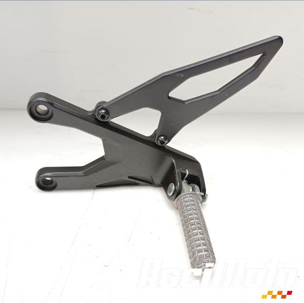 Pièce Moto Platine repose-pied avant (gauche) YAMAHA R1 YZF1000