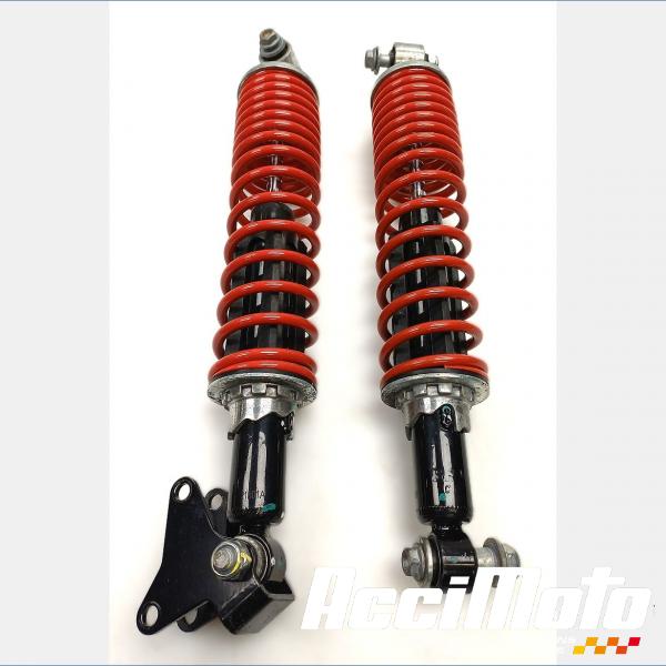 Pièce Moto Amortisseur (la paire) PIAGGIO MP3 400 HPE