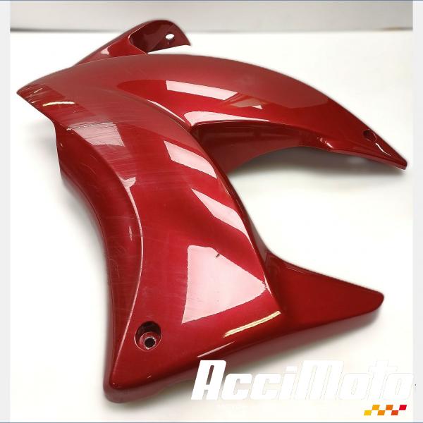Pièce Moto Flanc de carénage avant (gauche) HONDA VARADERO XL125V