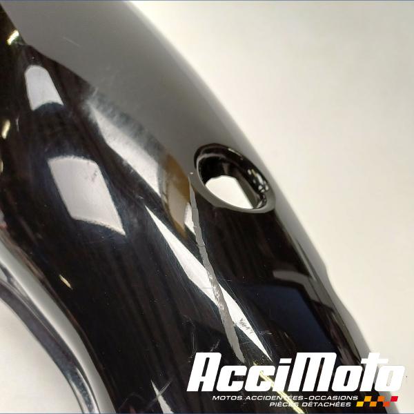 Pièce Moto Coque arrière (gauche) TRIUMPH TT 600