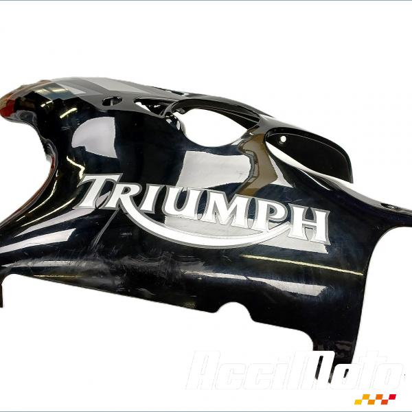 Pièce Moto Flanc de carénage avant (gauche) TRIUMPH TT 600