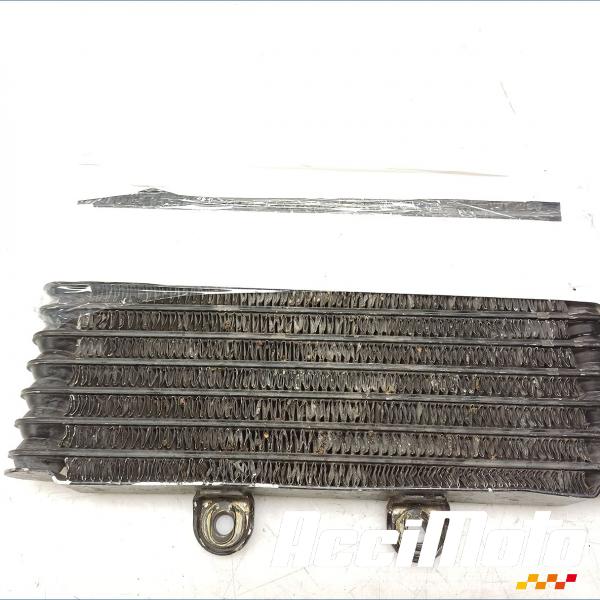 Part Motor bike Radiateur d'huile SUZUKI BANDIT GSF1200N