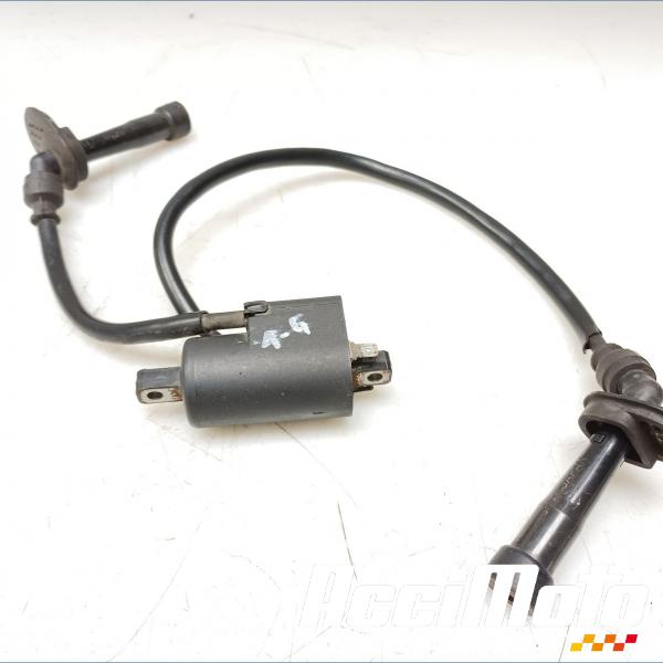 Pièce Moto Bobine d'allumage (1/4) SUZUKI BANDIT GSF600N
