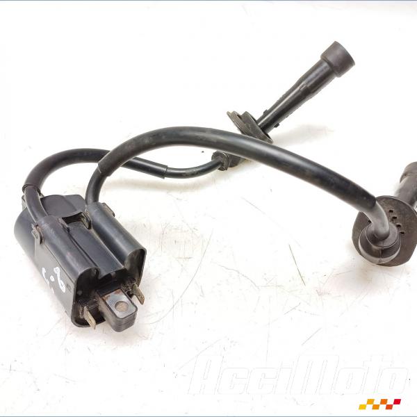 Pièce Moto Bobine d'allumage (2/3) SUZUKI BANDIT GSF600N