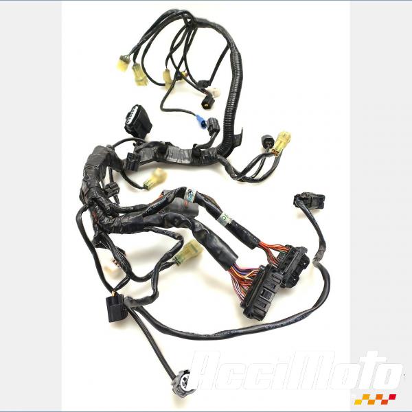 Pièce Moto Faisceau de rampe d'injection KTM 1290 SUPERDUKE