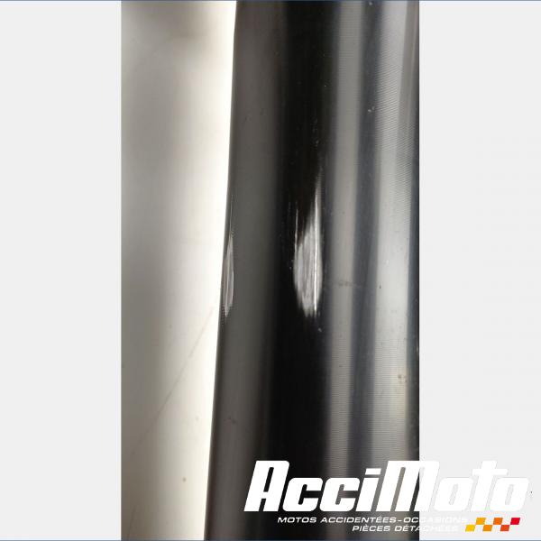 Pièce Moto Fourche complète TRIUMPH STREET TRIPLE 675 R