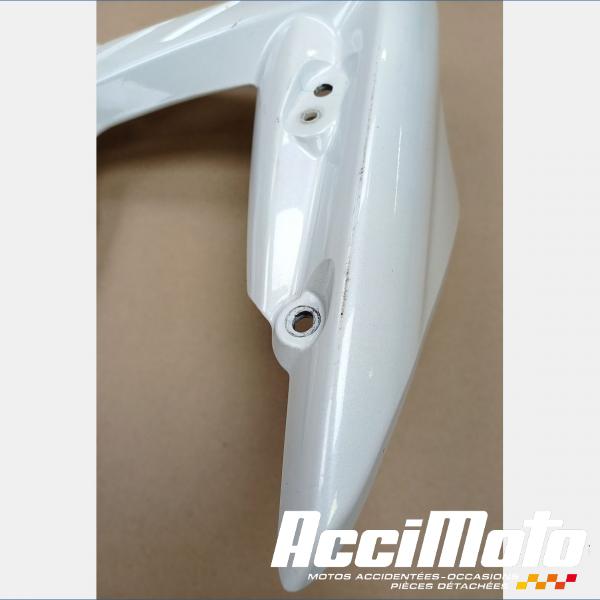 Pièce Moto écope de radiateur (gauche) TRIUMPH STREET TRIPLE 675 R