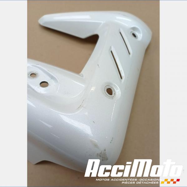 Pièce Moto écope de radiateur (gauche) TRIUMPH STREET TRIPLE 675 R