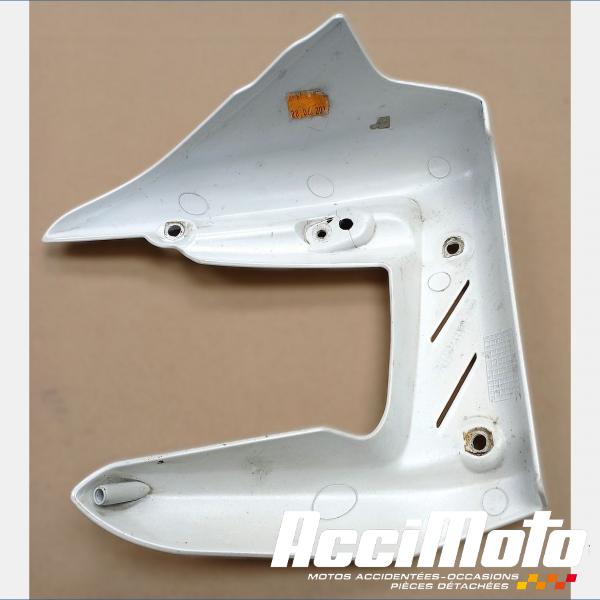 Pièce Moto écope de radiateur (gauche) TRIUMPH STREET TRIPLE 675 R