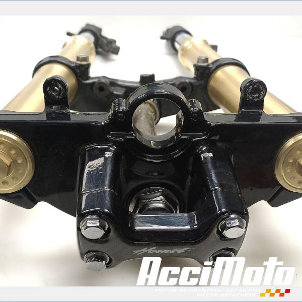 Pièce Moto Fourche complète HONDA HORNET CB600F