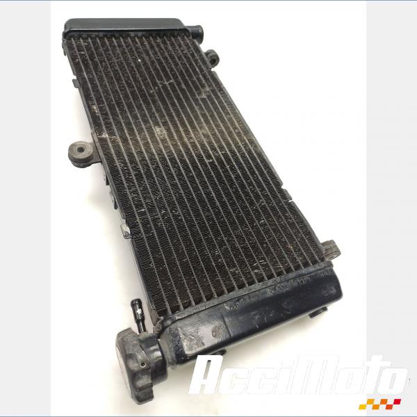 Pièce Moto Radiateur de refroidissement HONDA HORNET CB600F