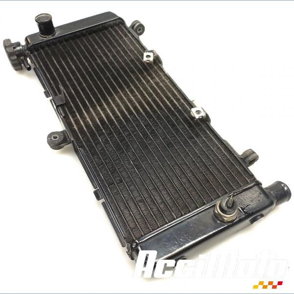 Pièce Moto Radiateur de refroidissement HONDA HORNET CB600F