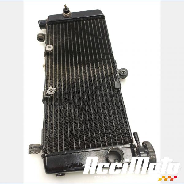 Pièce Moto Radiateur de refroidissement HONDA HORNET CB600F