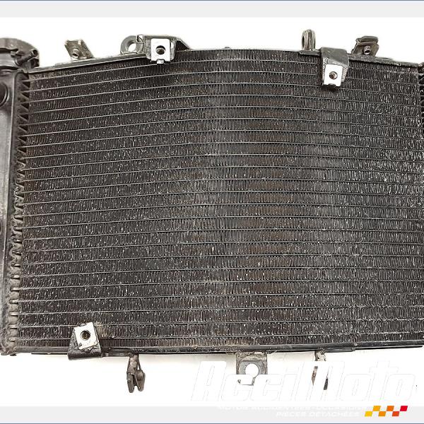 Pièce Moto Radiateur de refroidissement TRIUMPH SPEED TRIPLE 1050 