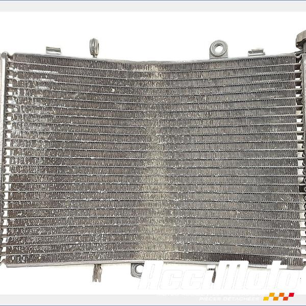 Pièce Moto Radiateur de refroidissement TRIUMPH SPEED TRIPLE 1050 