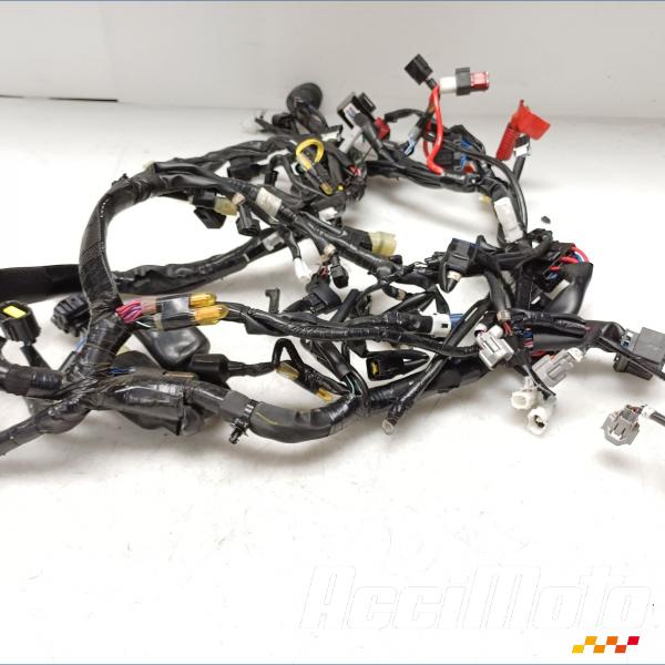 Pièce Moto Faisceau électrique (principal) YAMAHA R1 YZF1000