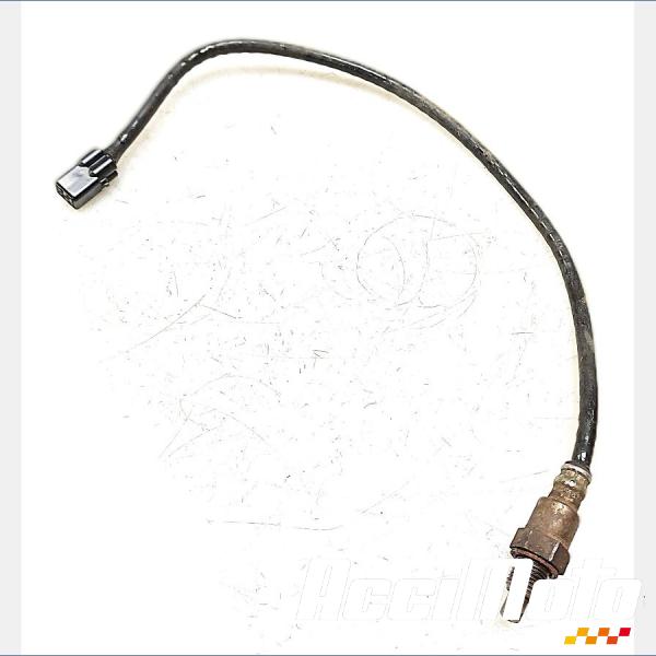 Pièce Moto Sonde lambda KAWASAKI Z 650