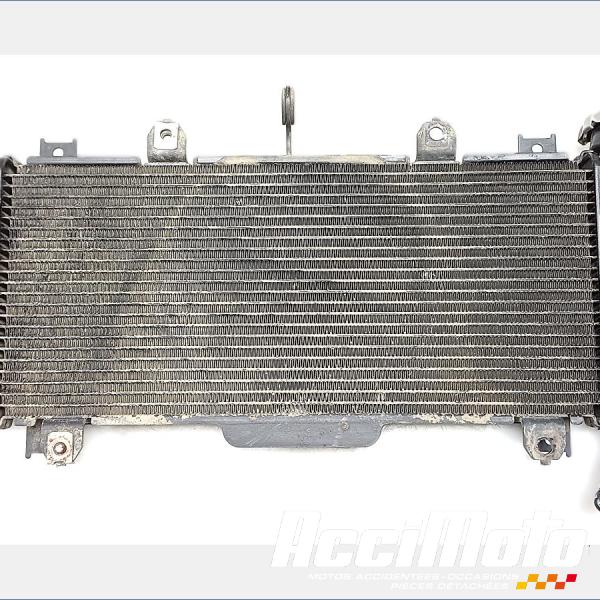 Part Motor bike Radiateur de refroidissement KAWASAKI Z 650