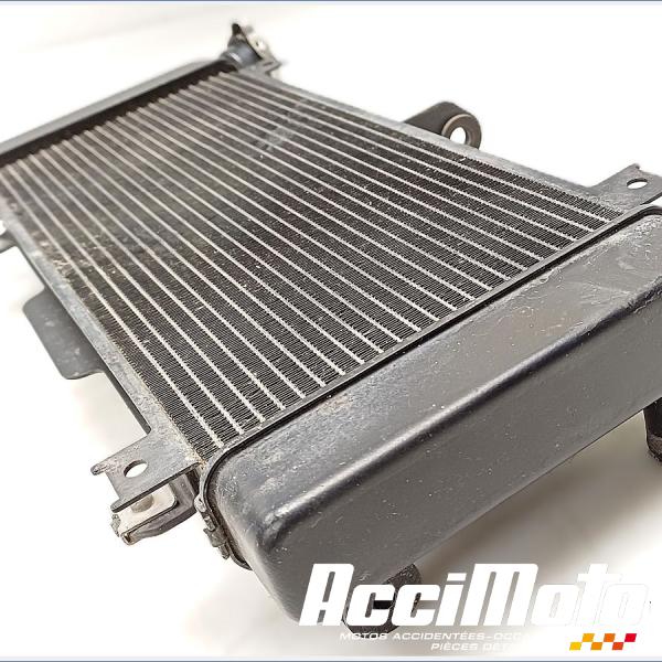 Part Motor bike Radiateur de refroidissement KAWASAKI Z 650