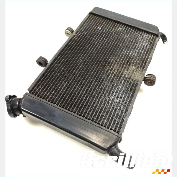 Pièce Moto Radiateur de refroidissement YAMAHA XJ6F DIVERSION