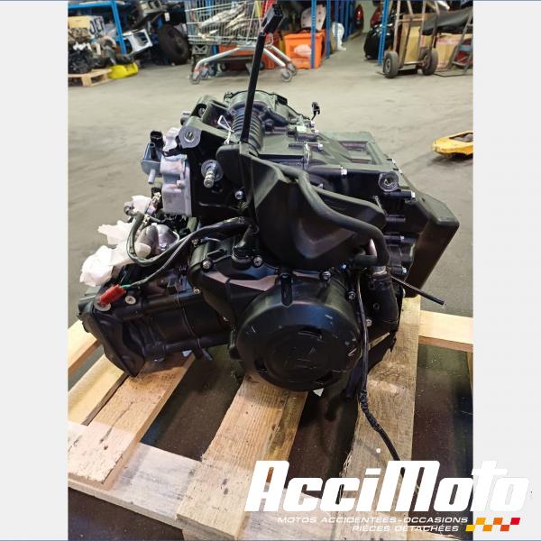 Pièce Moto Moteur TRIUMPH STREET TRIPLE