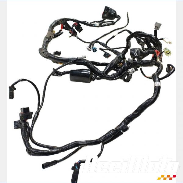 Pièce Moto Faisceau électrique (principal) YAMAHA YZF-R 125