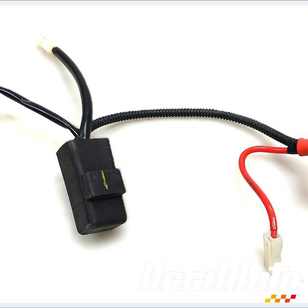 Pièce Moto Faisceau électrique (principal) YAMAHA YZF-R 125
