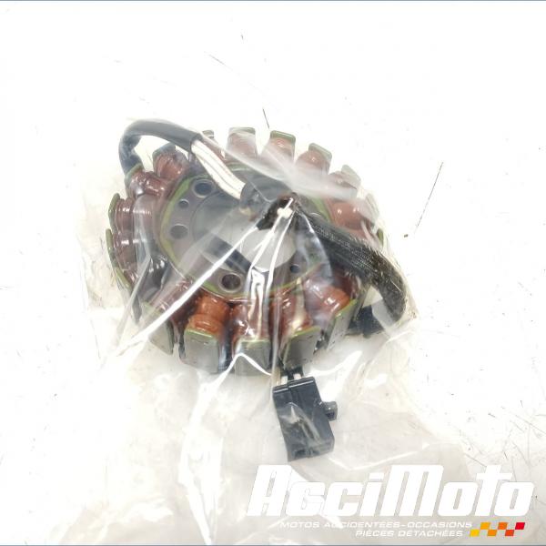 Pièce Moto Stator d'alternateur KAWASAKI ER6 F