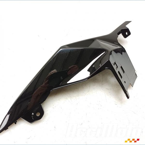 Pièce Moto Coque arrière (gauche) BMW S1000 RR