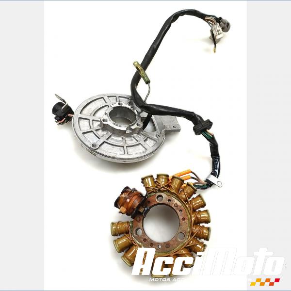 Part Motor bike Stator d'alternateur YAMAHA TDR 125