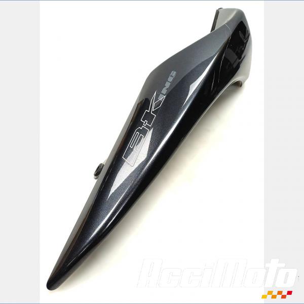 Pièce Moto Coque arrière (droite) SUZUKI B KING 1340