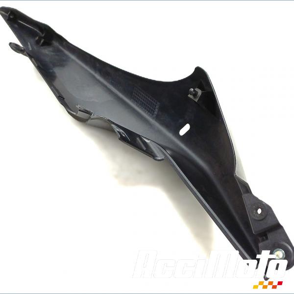 Pièce Moto Coque arrière (droite) SUZUKI B KING 1340