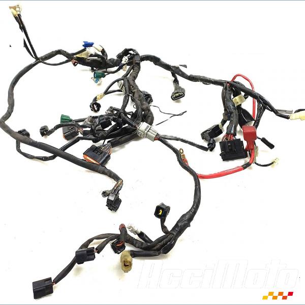 Pièce Moto Faisceau électrique (principal) YAMAHA FZ1 S FAZER