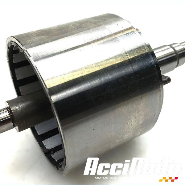 Pièce Moto Rotor d'alternateur YAMAHA FZ1 S FAZER