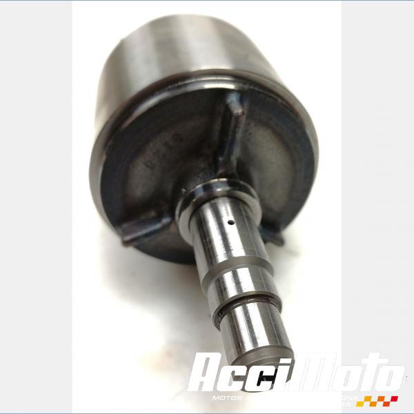 Pièce Moto Rotor d'alternateur YAMAHA FZ1 S FAZER