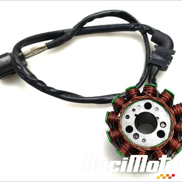 Pièce Moto Stator d'alternateur YAMAHA FZ1 S FAZER